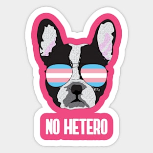 NO HETERO - Boston Terrier Dog Trans Transgender Pride Flag Sticker